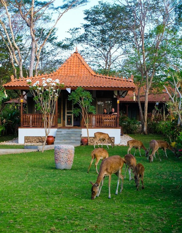 Plataran Menjangan Resort&Spa - CHSE Certified Banyuwedang Ruang foto